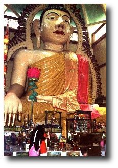 Buddha