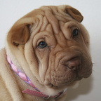 2007 Molly